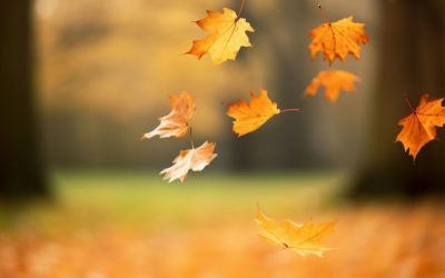 How to Get Your HVAC System Ready for Cooler Weather
